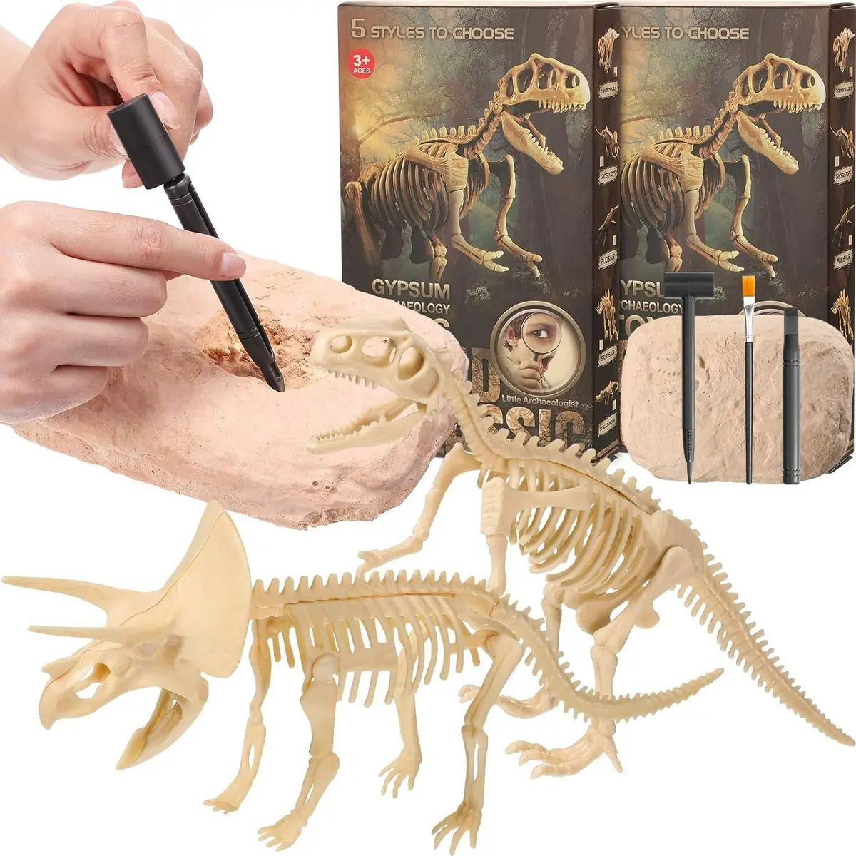 GENERICO - Kit Excavación Fósil Dinosaurio Descubrimiento Arqueologico