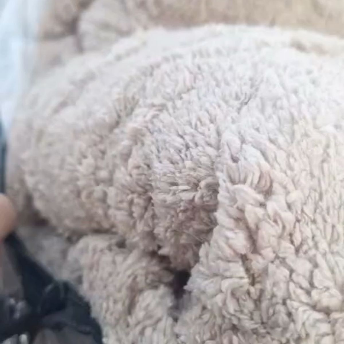 GENERICO - COBERTORES PLUSH PARA INVIERNO DE CHIPORRO CON HERMOSOS DISEÑOS