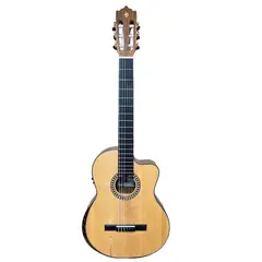 GENERICO - Guitarra electroacustica PALMER PC-19 SEQN