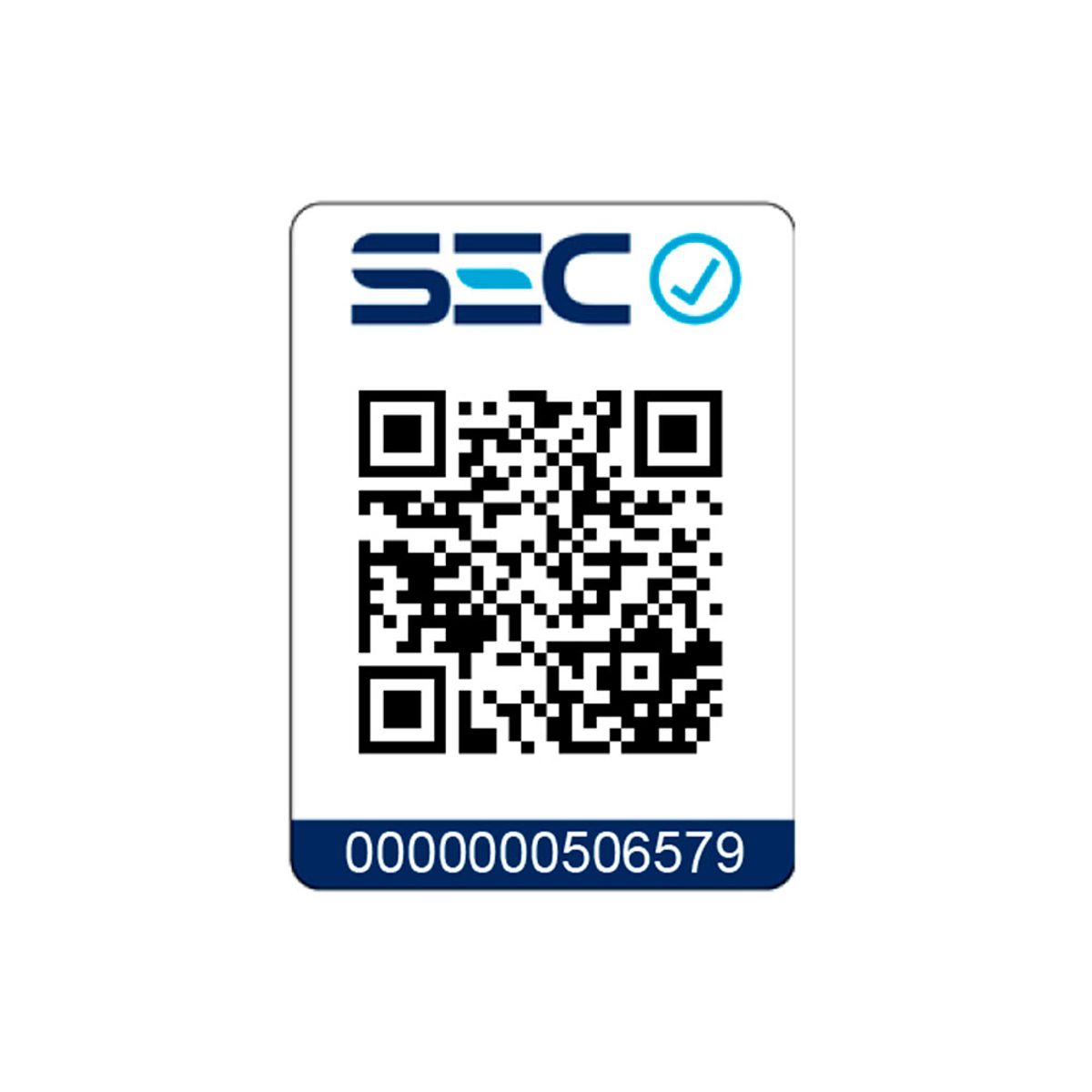 BLAUPUNKT - COCINILLA ELÉCTRICA  BP-AE6900 BLAUPUNKT