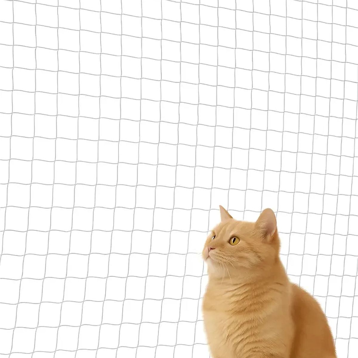 GENERICO - Malla Protectora Gatos 4x3 Mts Terraza Durable Fácil Instalación Blanco Discreto Balcon Seguridad