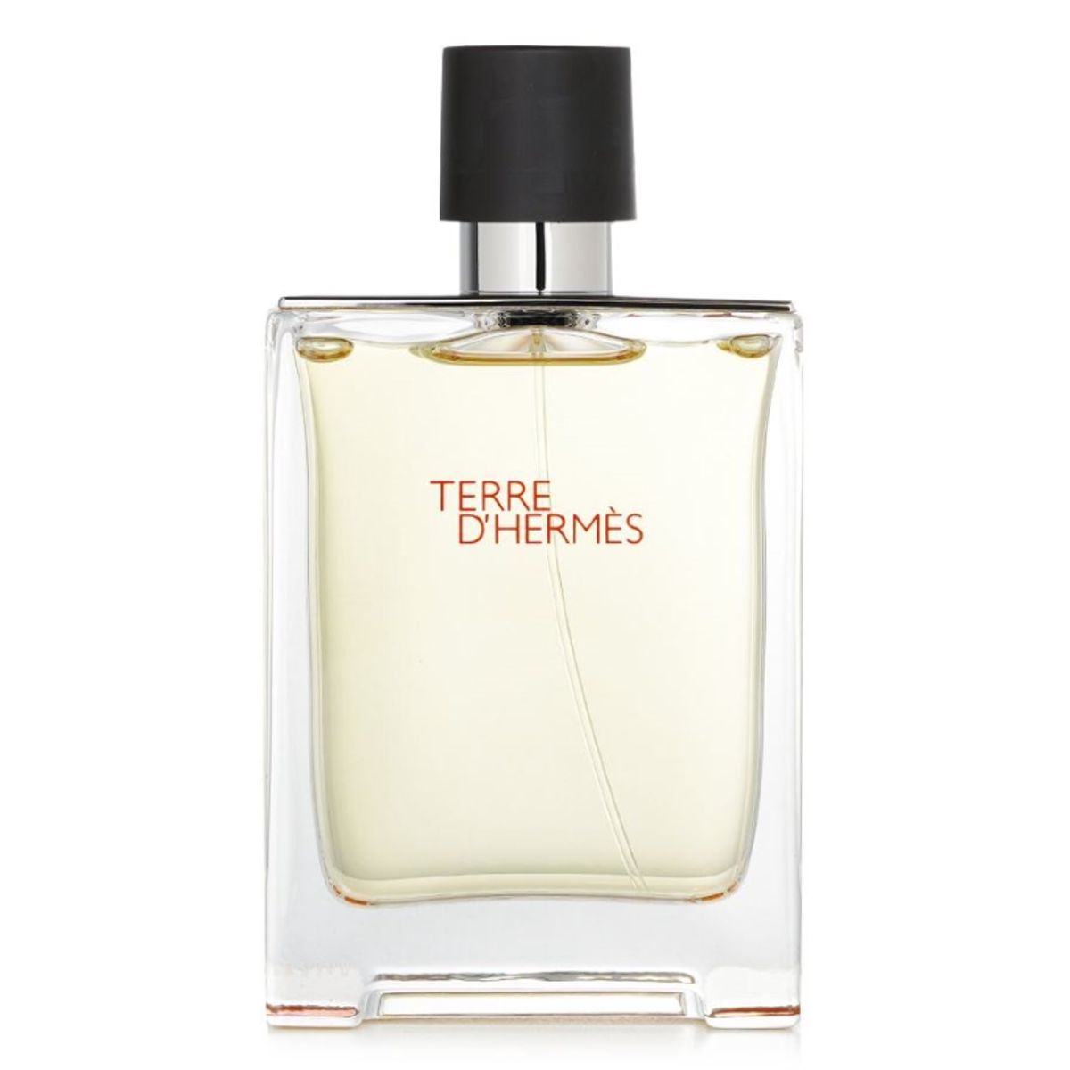 HERMES - Terre DHermes Eau de Toilette - 100ml Hermes