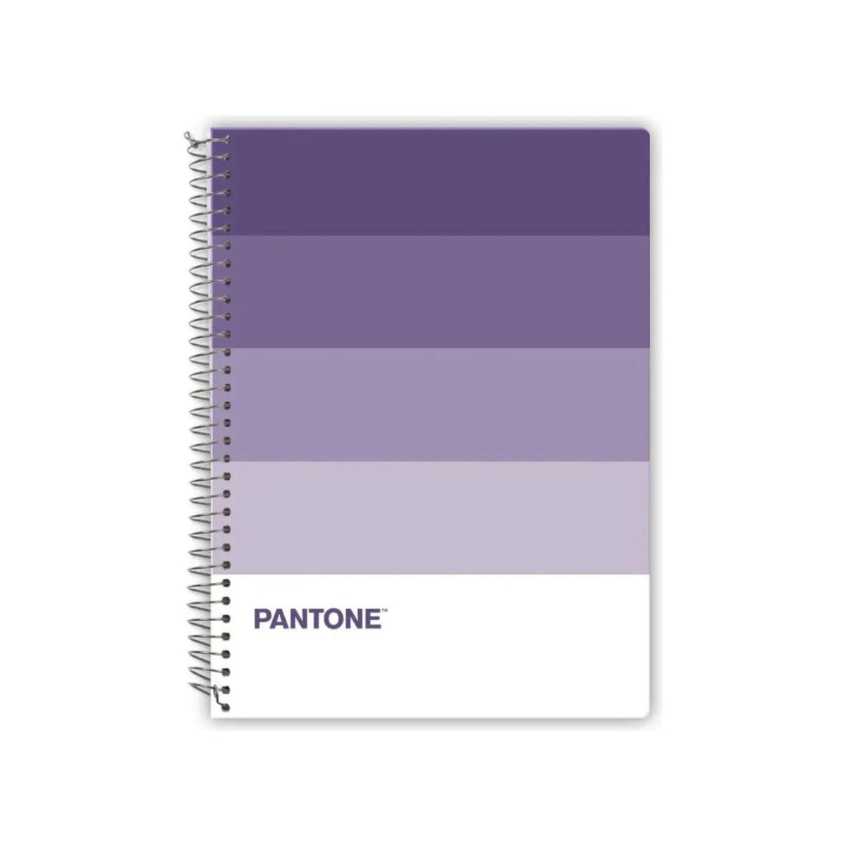 GENERICO - Cuaderno Carta (28x20,5 Cm) 120 Hojas. Pantone - Lila