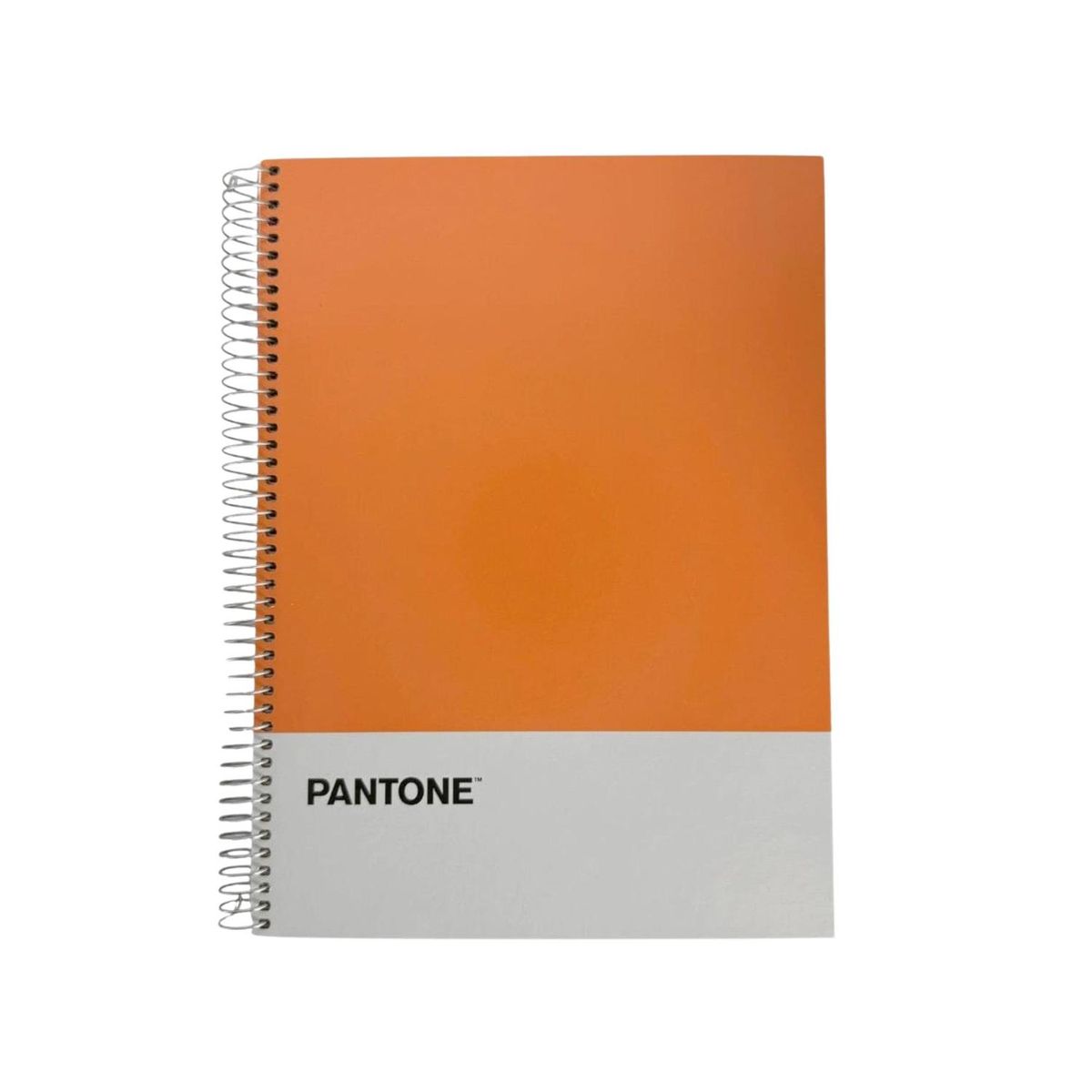 GENERICO - Cuaderno Carta (28x20,5 Cm) 120 Hojas. Pantone - Naranja