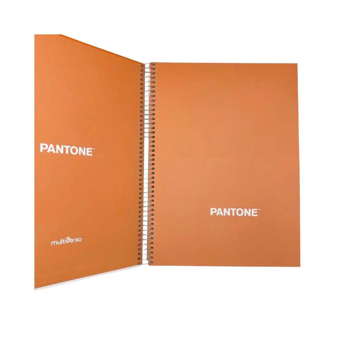 GENERICO - Cuaderno Carta (28x20,5 Cm) 120 Hojas. Pantone - Naranja