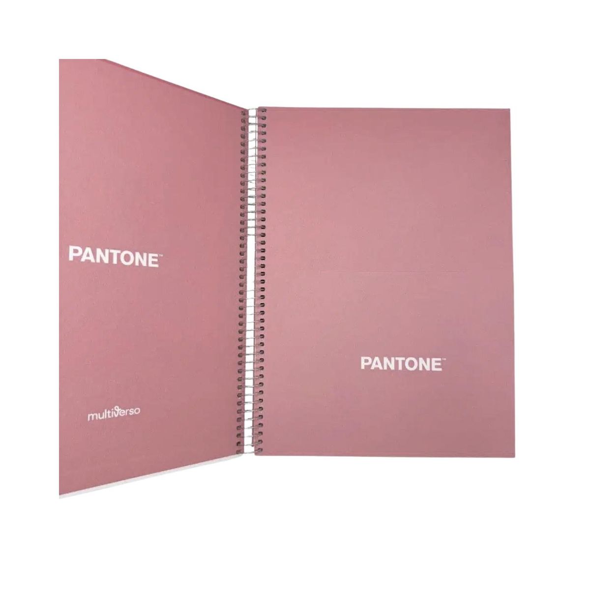 GENERICO - Cuaderno Carta (28x20,5 Cm) 120 Hojas. Pantone - Rosa claro