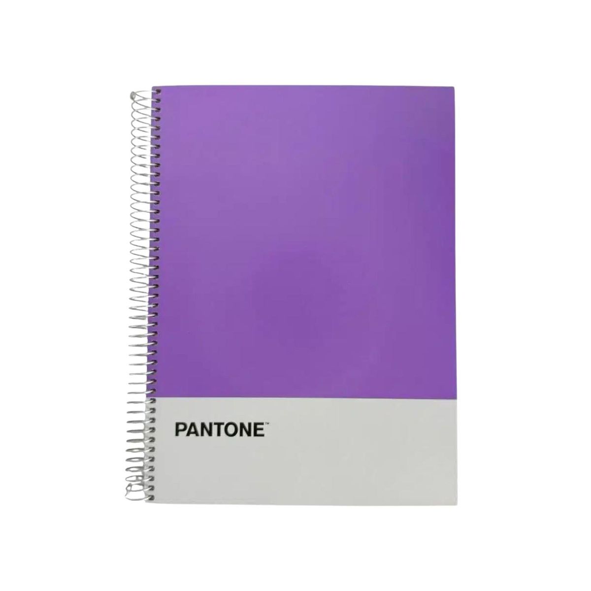GENERICO - Cuaderno Carta (28x20,5 Cm) 120 Hojas. Pantone - Violeta