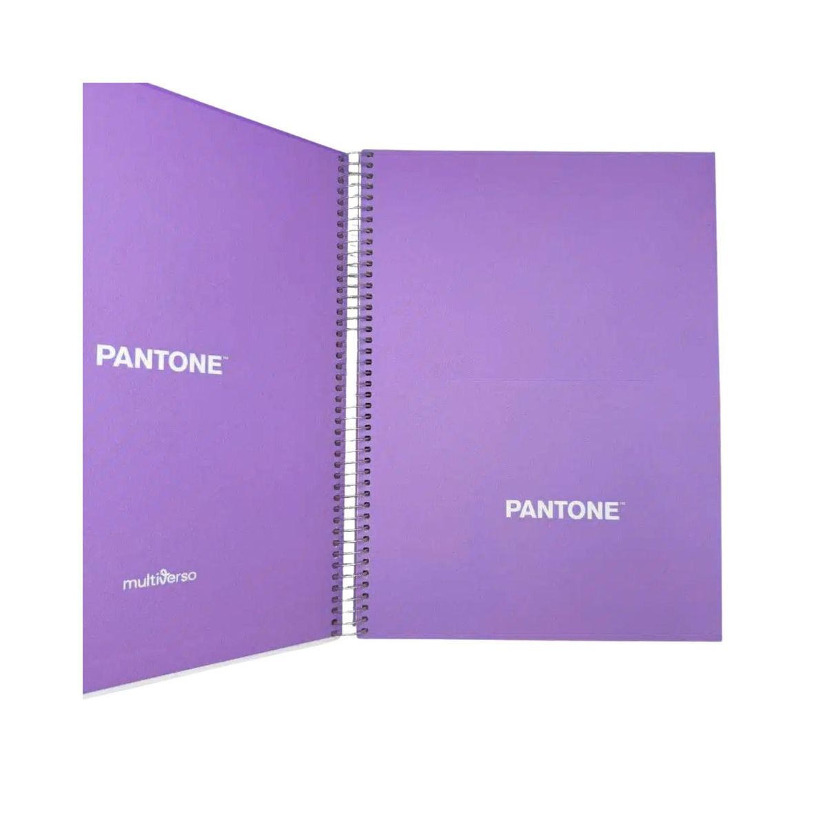 GENERICO - Cuaderno Carta (28x20,5 Cm) 120 Hojas. Pantone - Violeta