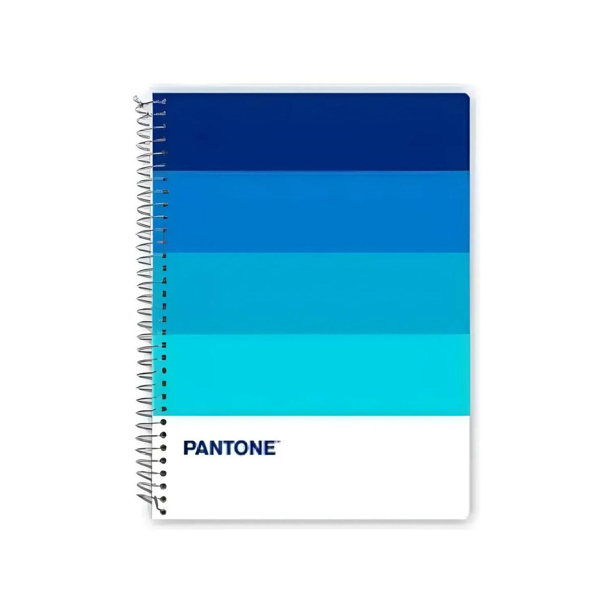 GENERICO - Cuaderno Carta (28x20,5 Cm) 120 Hojas. Pantone - Azul