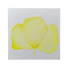 GENERICO - Mini Cuadro Acuarela Original 13x13 cm - Arte Botánico Pintado a Mano Flor 1