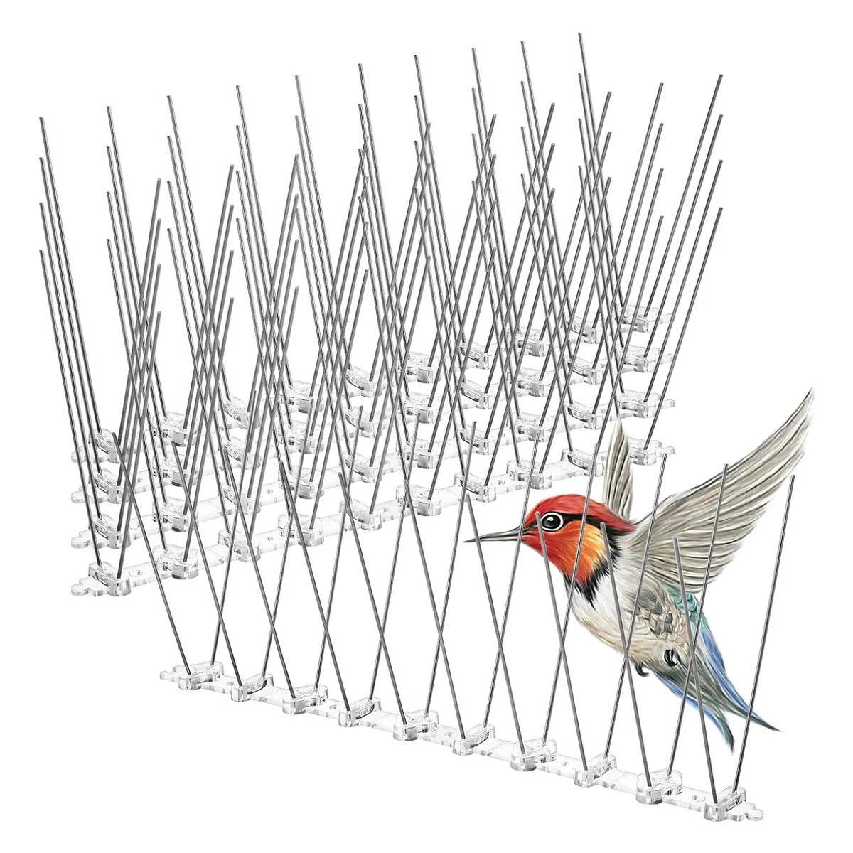GENERICO - 12pcs Picos Para Pájaros Palomas Pinchos Antipájaro Inoxida