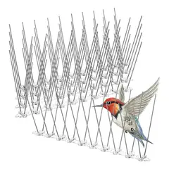 GENERICO - 12pcs Picos Para Pájaros Palomas Pinchos Antipájaro Inoxida