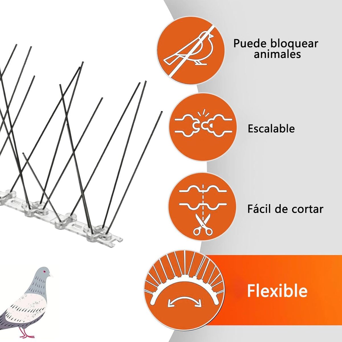 GENERICO - 12pcs Picos Para Pájaros Palomas Pinchos Antipájaro Inoxida