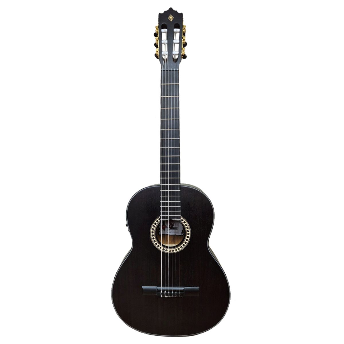 GENERICO - Guitarra Electroacustica PALMER PC-17EQ TBK