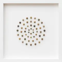 GENERICO - Cuadros Decorativos "Esencia Marina" – Artesanía en Conchas Naturales (30X30) 3