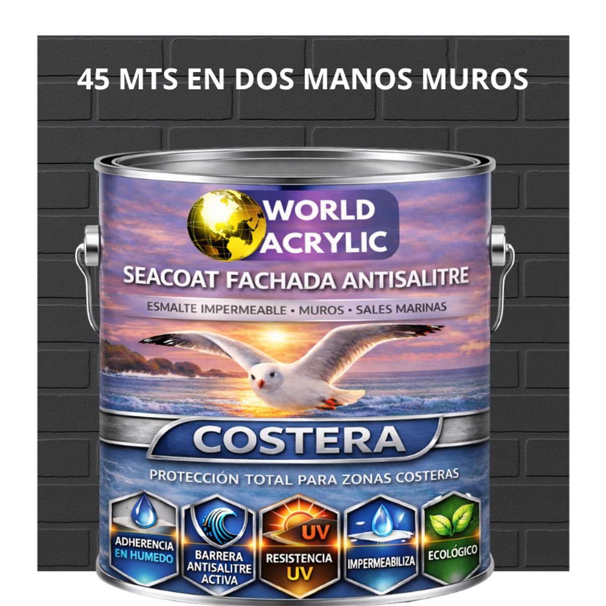 WORLD ACRYLIC - PINTURA MUROS HIDRORREPELENTE - SEACOAT FACHADA ANTISALITRE - GRIS GRAFITO  - GALON