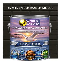 WORLD ACRYLIC - PINTURA MUROS HIDRORREPELENTE - SEACOAT FACHADA ANTISALITRE - MARRÓN GRISÁCEO - GALON