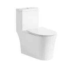 BRIGGS - WC One Piece a piso 30,5 cm 6 litros New Fonte blanco