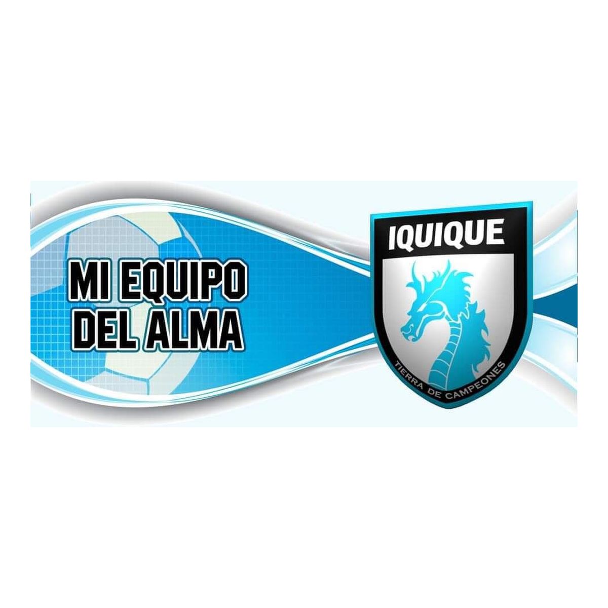 GENERICO - Taza Enlozada Iquique Club Deportivo - Pasión y Orgullo