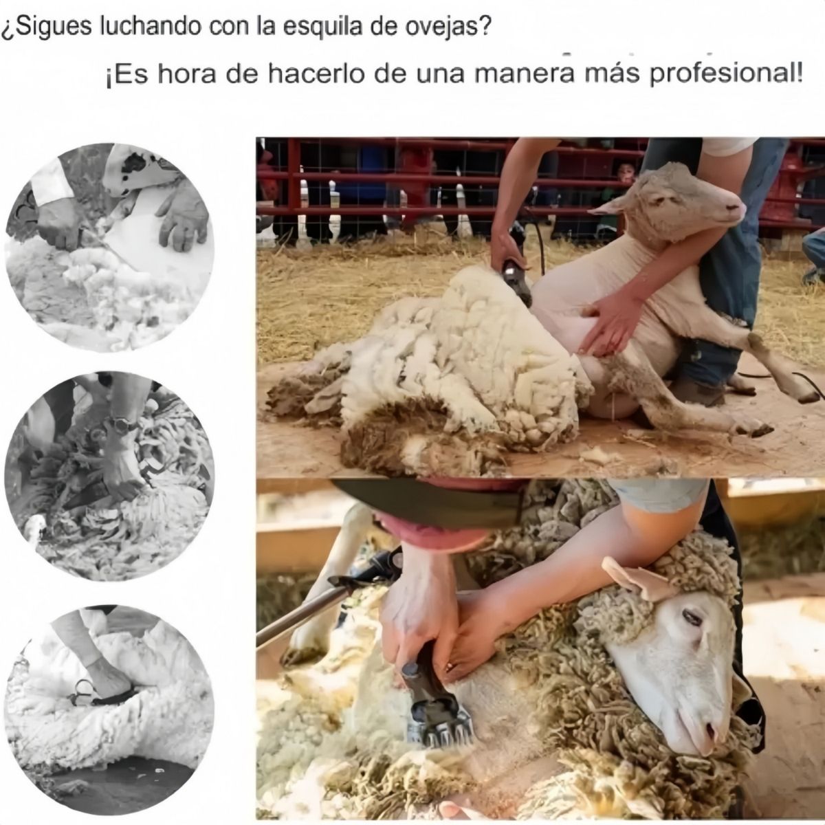 VIDA BUENAS - Máquina De Cizallamiento De Lana Maquina Esquiladora Ovejas