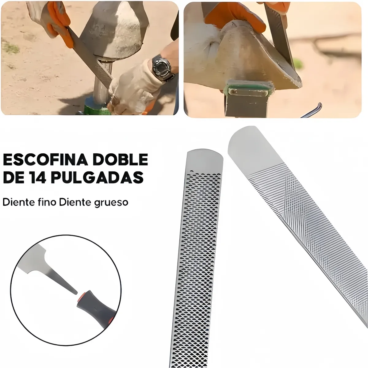 VIDA BUENAS - Kit de Herramientas para Herrar Caballos con Pinza para Cascos, Herramienta Profesional para Equinos