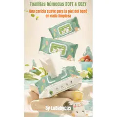 LUBABYCAS - Wipes Toallas Húmedas Con Tapa - caja 2 paquetes - 160 Unidades