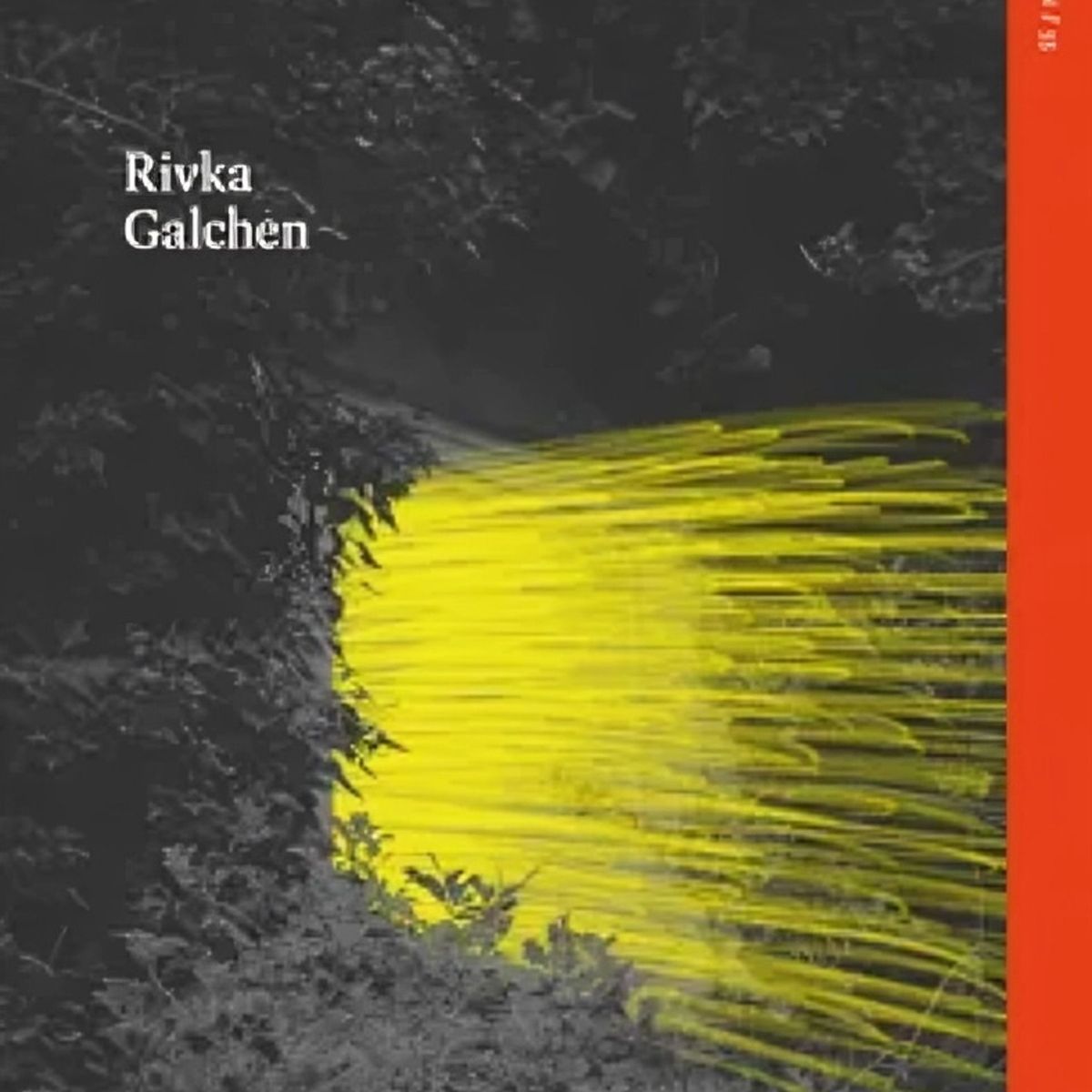 TOP10BOOKS - LIBRO La Región De La Desemejanza - RIVKA GALCHEN