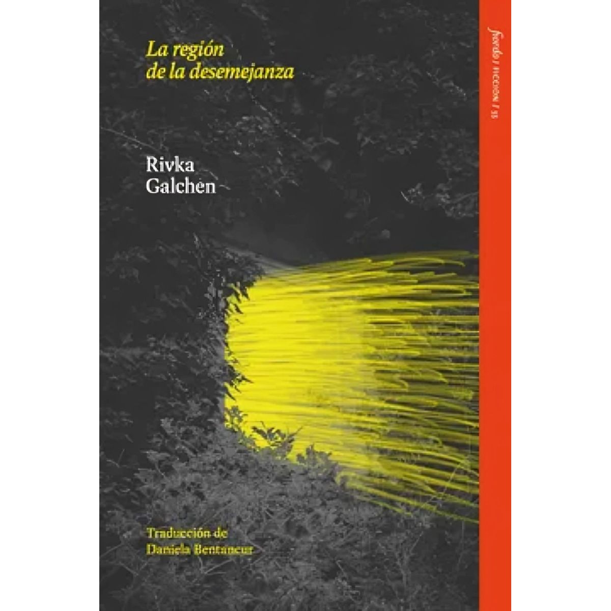 TOP10BOOKS - LIBRO La Región De La Desemejanza - RIVKA GALCHEN