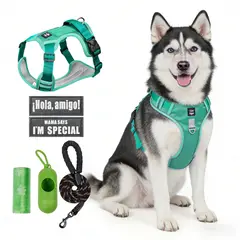SANKARA - Arnés para Perro Ajustable con Correa y Velcro Antitirones Reflectante VERDE Talla S