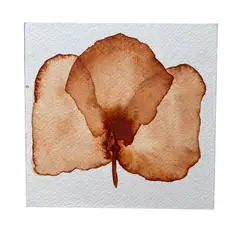 GENERICO - Mini Cuadro Acuarela Original 13x13 cm - Arte Botánico Pintado a Mano Flor 14