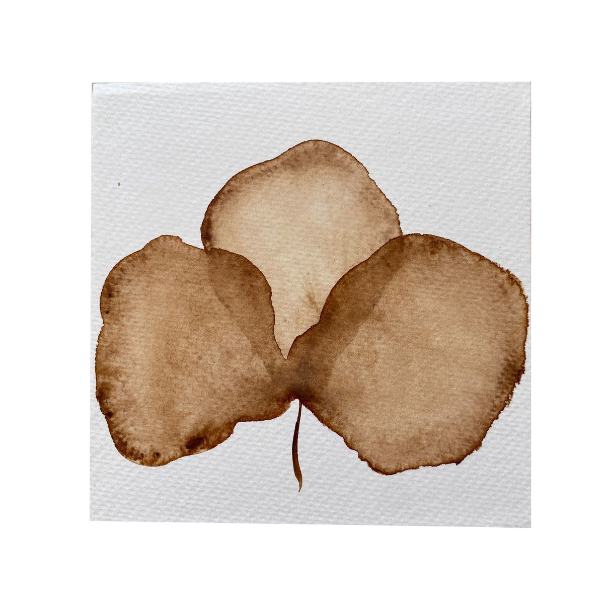 GENERICO - Mini Cuadro Acuarela Original 13x13 cm - Arte Botánico Pintado a Mano Flor 15