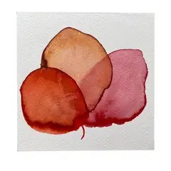 GENERICO - Mini Cuadro Acuarela Original 13x13 cm - Arte Botánico Pintado a Mano Flor 24