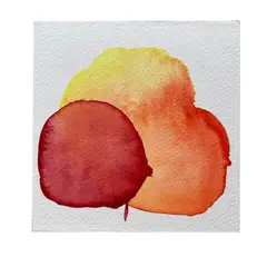 GENERICO - Mini Cuadro Acuarela Original 13x13 cm - Arte Botánico Pintado a Mano Flor 27