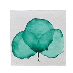 GENERICO - Mini Cuadro Acuarela Original 13x13 cm - Arte Botánico Pintado a Mano Flor 31