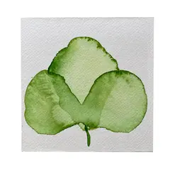 GENERICO - Mini Cuadro Acuarela Original 13x13 cm - Arte Botánico Pintado a Mano Flor 33