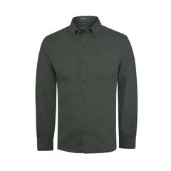 ROCKFORD - Camisa Algodón Orgánico Hombre Leeds Verde oscuro
