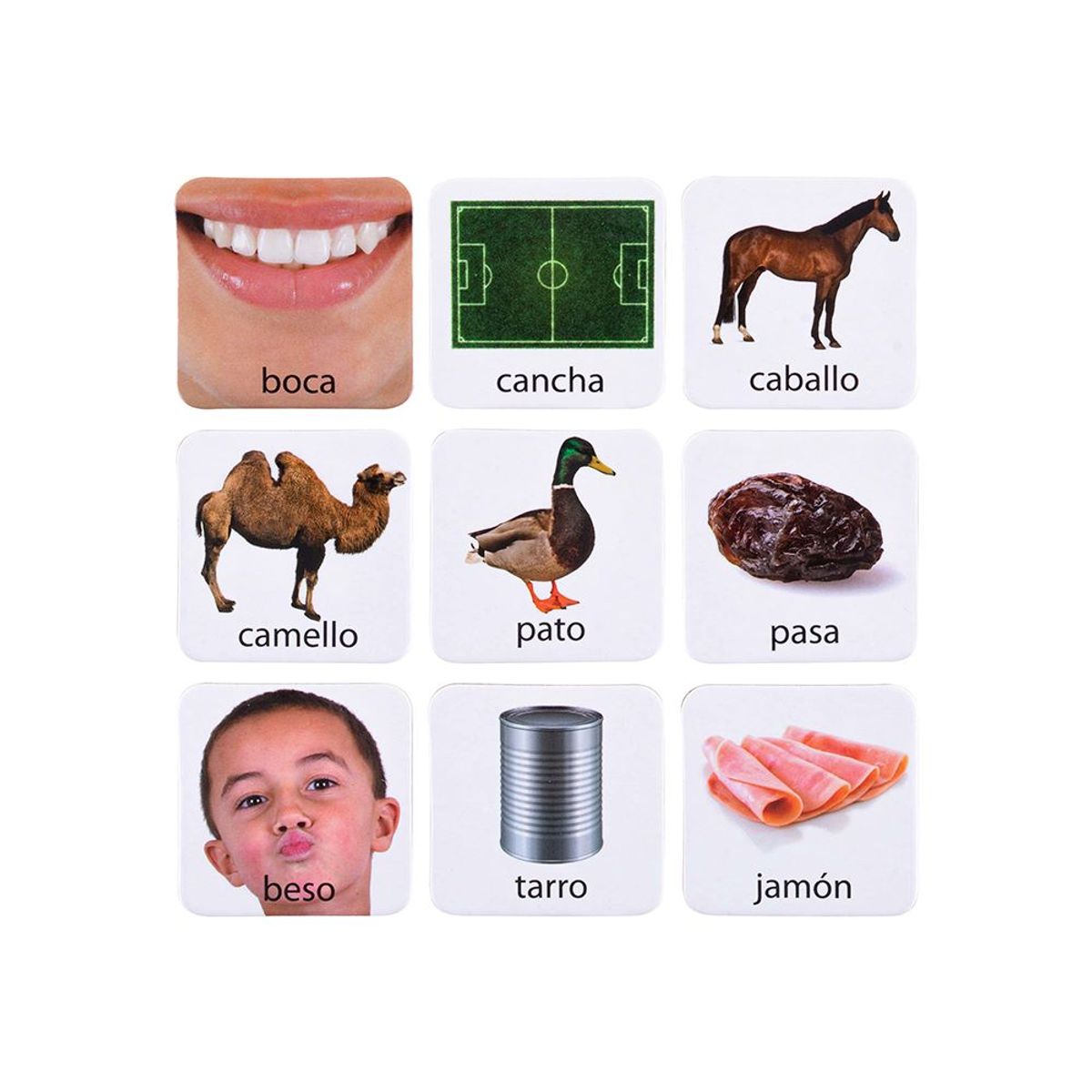 DACTIC - Lotery Discriminación Auditiva