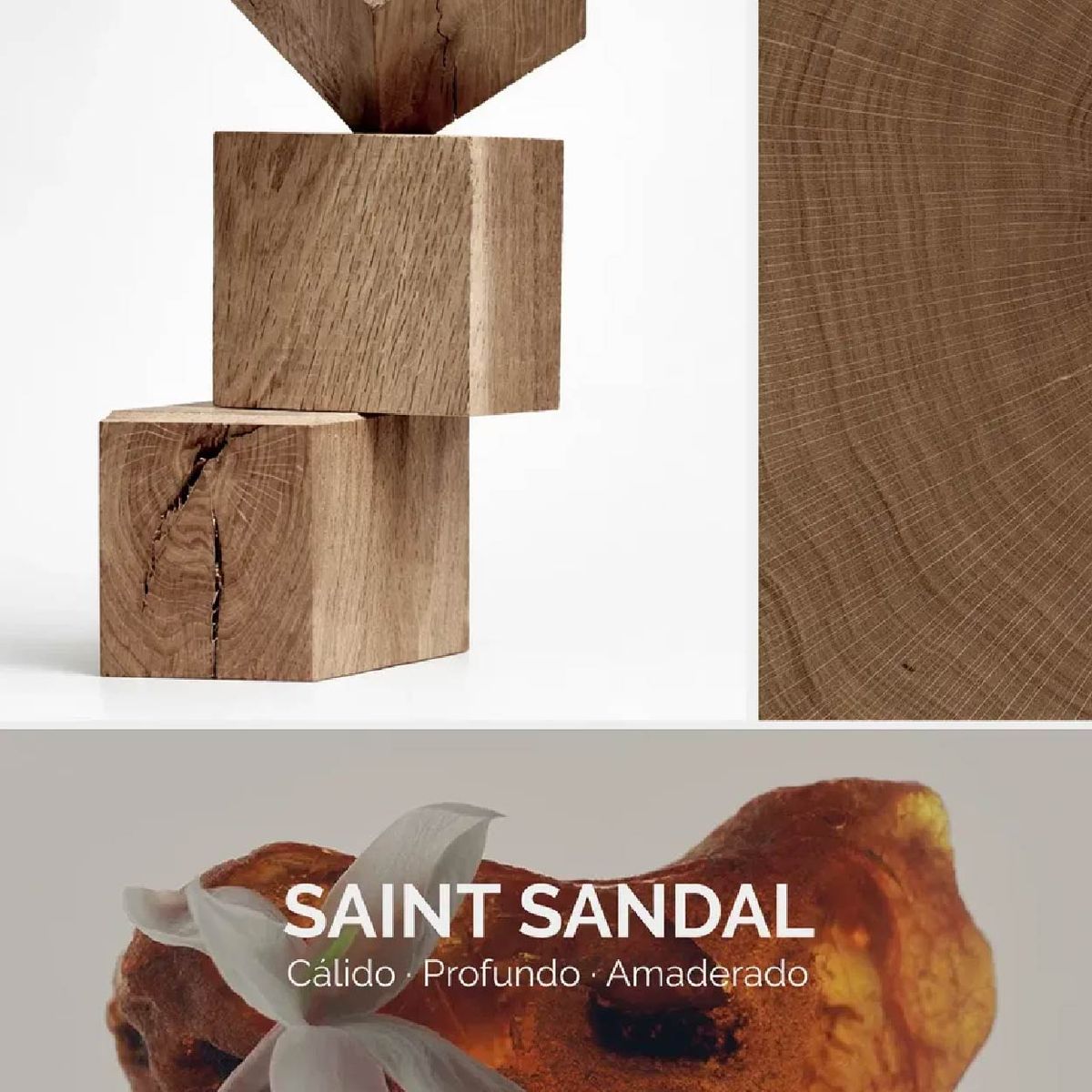 MADISON - Madison Home Spray Ambientador Terra Saint Sandal 500 ml Vidrio Ámbar