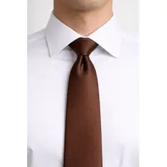 XPRESS RECHARGE - Corbata Slim Marrón para Hombre Elegante Corbata Formal Moderna PLATAM