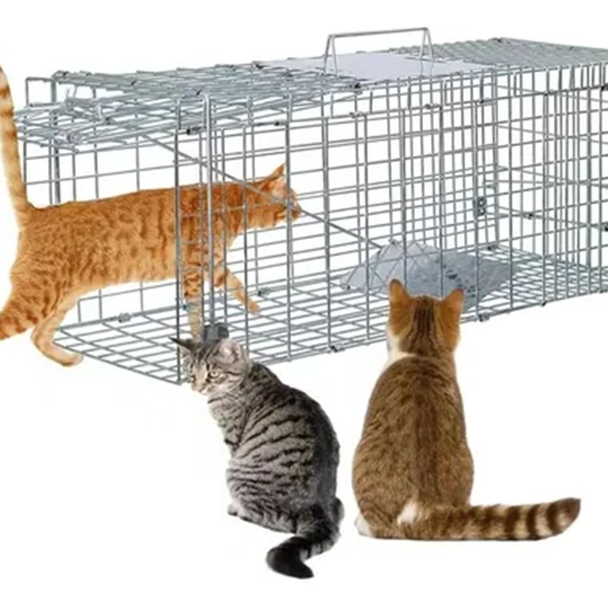 GENERICO - Trampa Jaula Para Captura Gatos Conejos Animale 94x34x37cm
