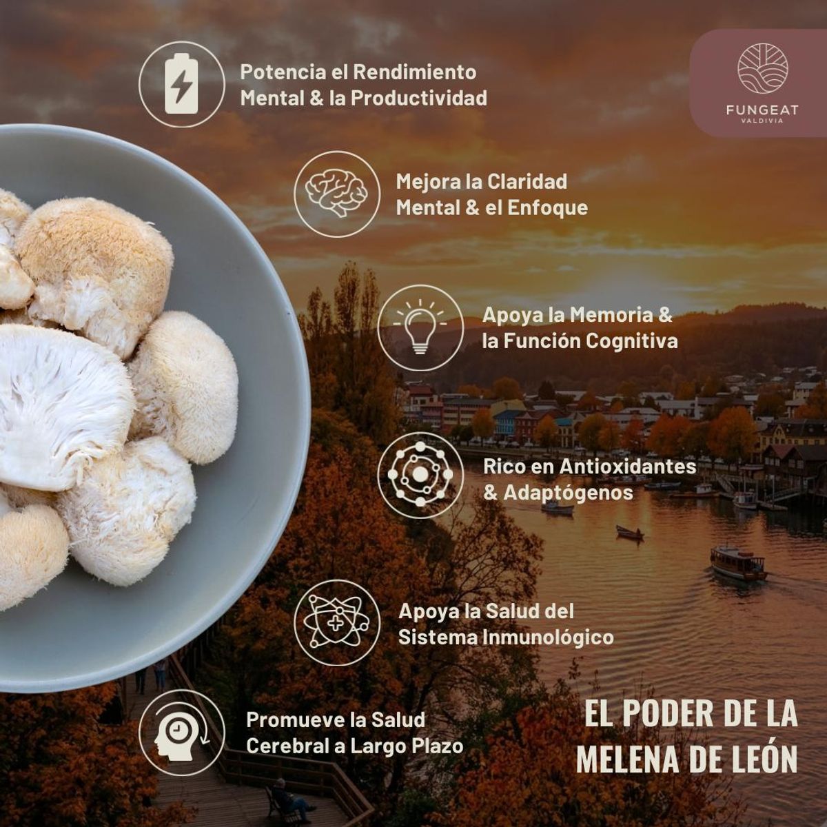 GENERICO - Pack Claridad: 2 Café Melena de León 150g + 2 Ebook + Envío Gratis