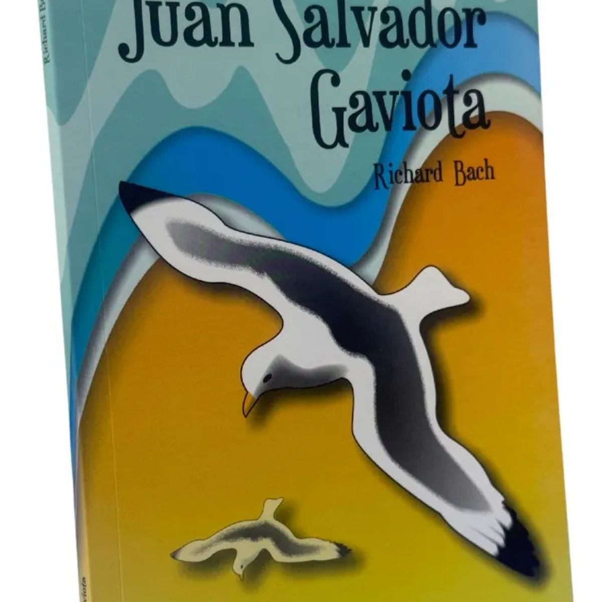 EDISUR - JUAN SALVADOR GAVIOTA  RICHARD BACH