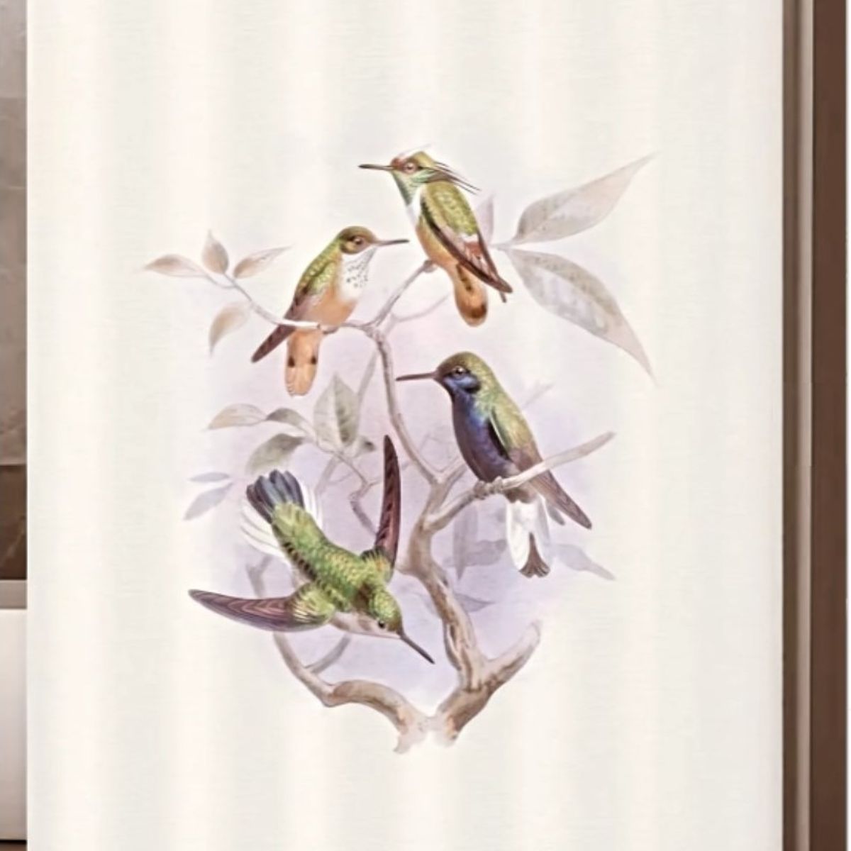 COMPRAPO - Cortina Baño Impermeable Ramas y Colibríes más 12 Ganchos 180x180 Cm.