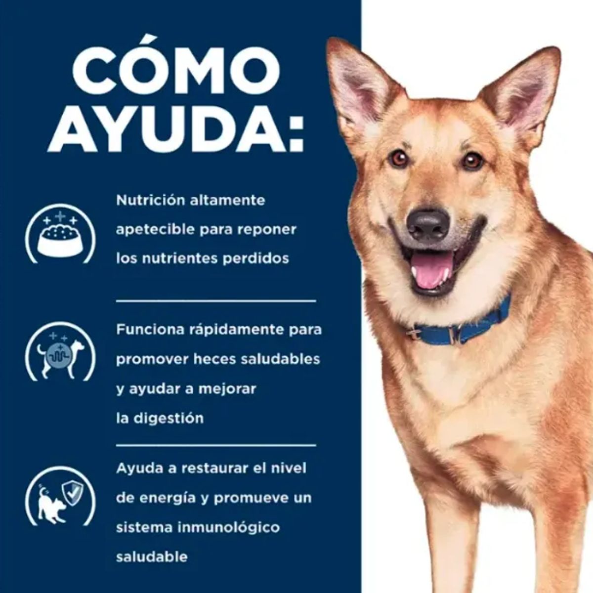 GENERICO - X4 Alimento Hill's Digestive Care  Pavo Perro Adulto 370 g c/u