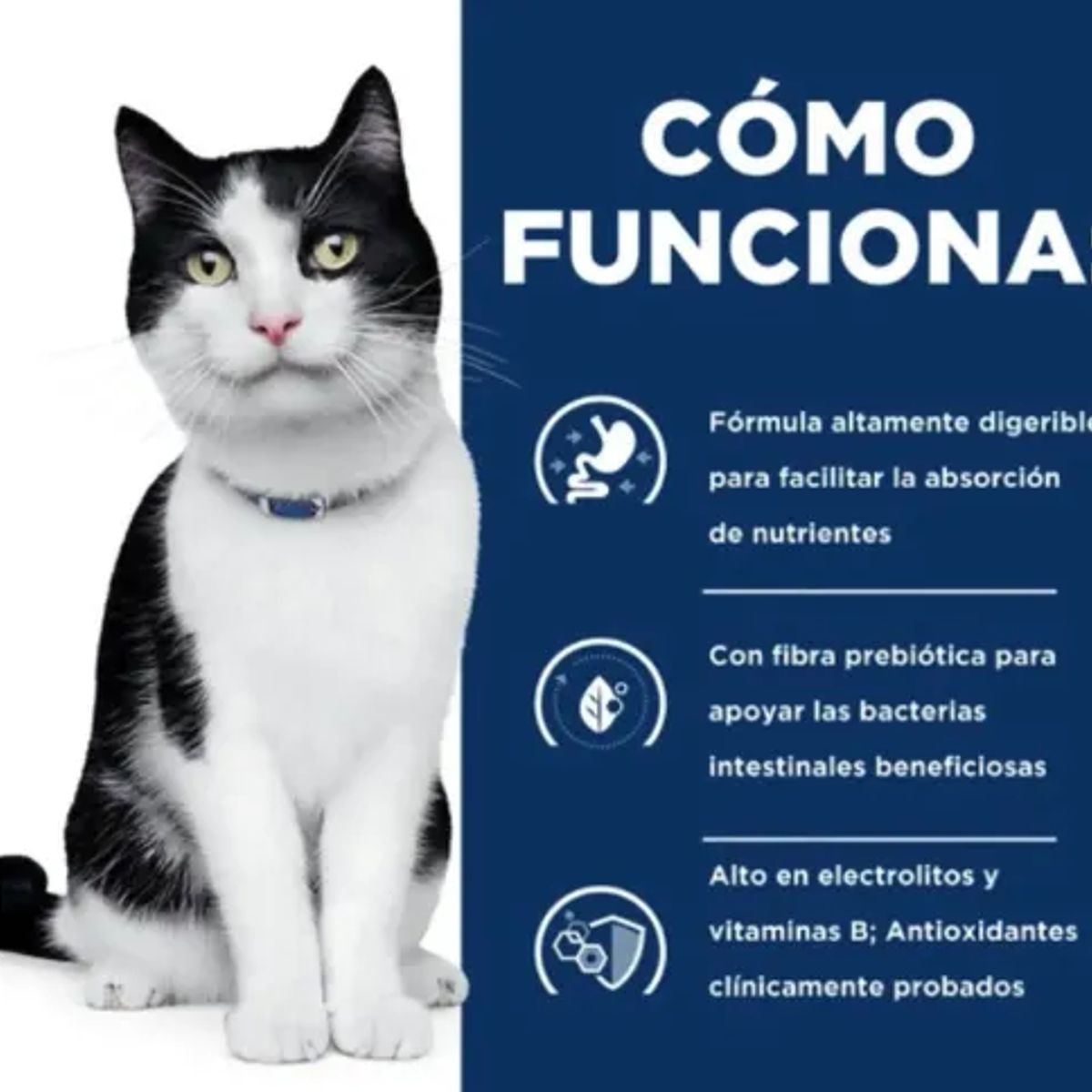 HILLS - Alimento Hills Prescription Diet Digestive Care id Para Gato Sabor Pollo 156g X12u