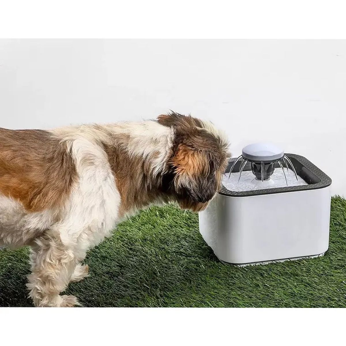 GENERICO - Fuente de Agua Bebedero para Gatos y Perros de 2.5 Litros