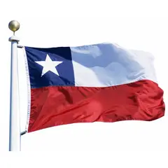 DORAL - Bandera Chilena 100X150 cms Tela Trevira Bordada Reforzada.