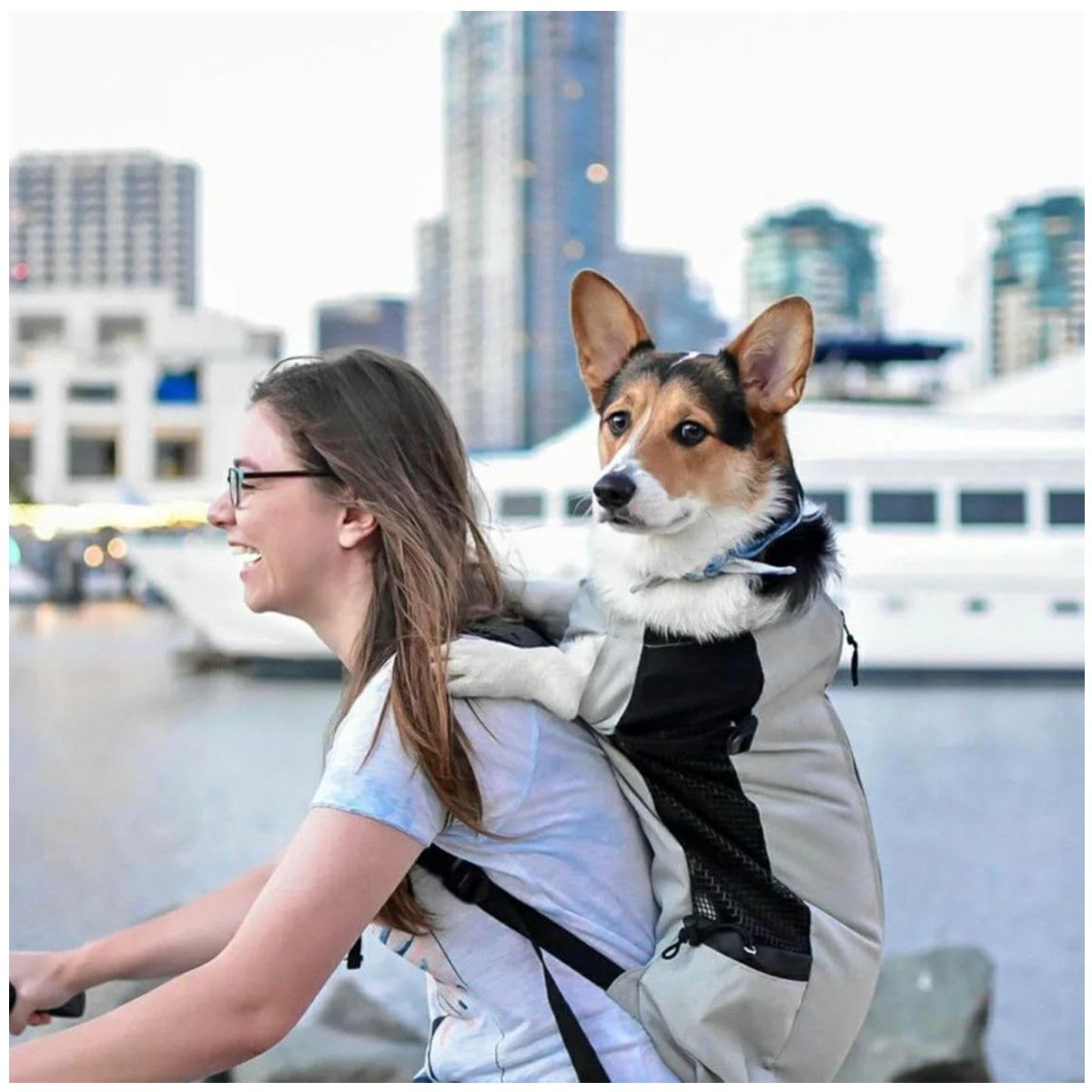 KUANGYE - Mochila Porta Perros Paseo Caminar Bicicleta Moto Grande XL