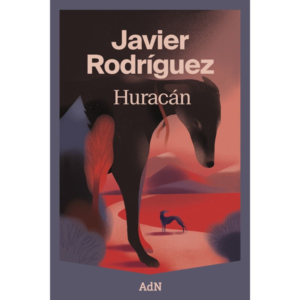 ANAYA - LIBRO HURACÁN