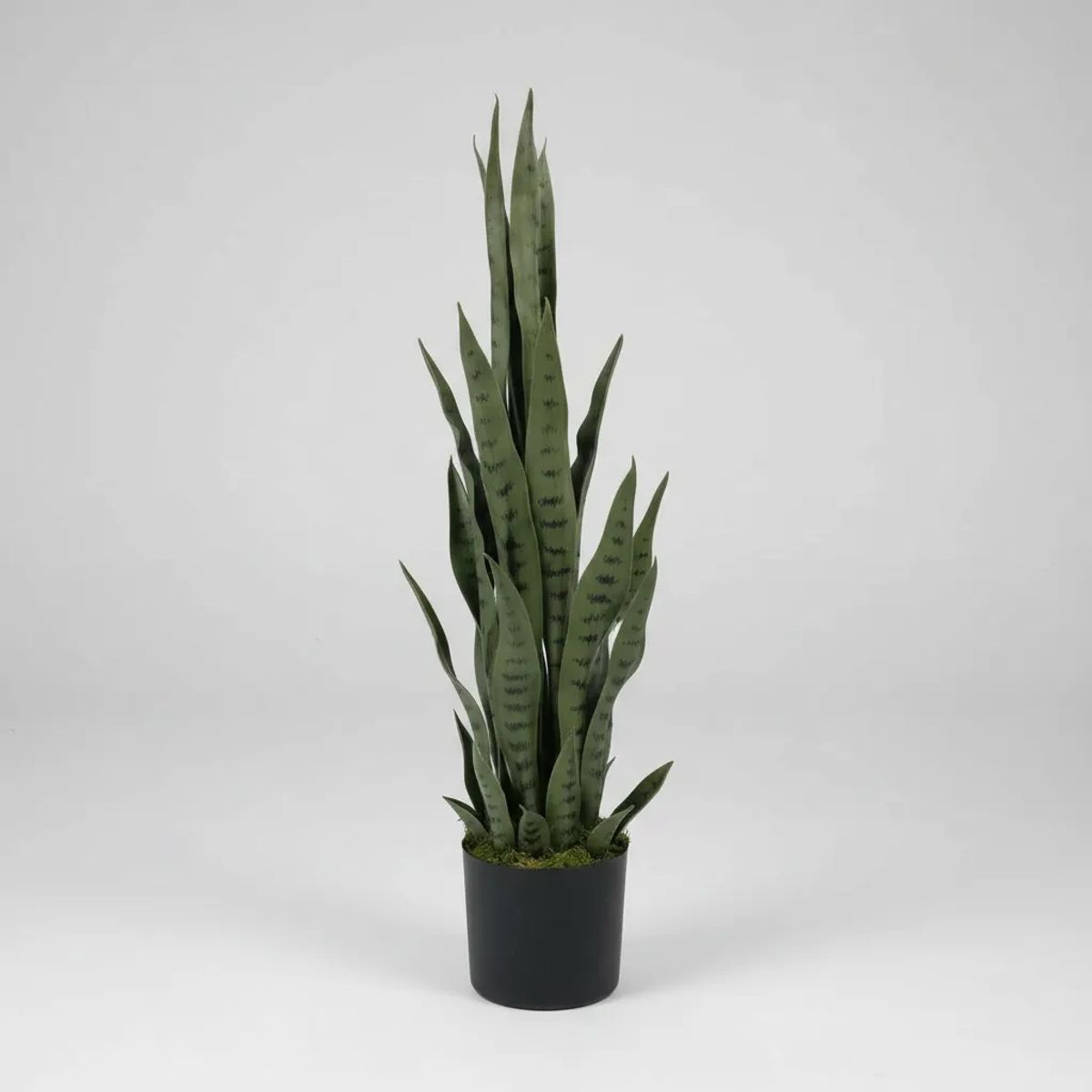 GENERICO - Planta Artificial Lengua De Suegra 50cm Con Maceta